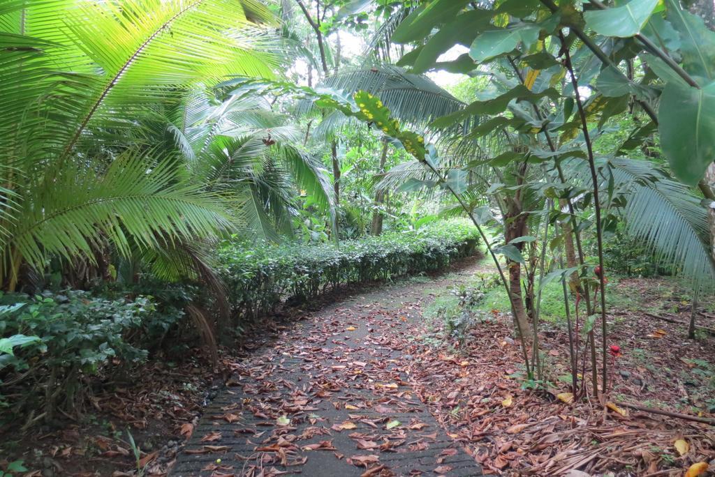 Apartamento Karibu Manuel Antonio Bilik gambar