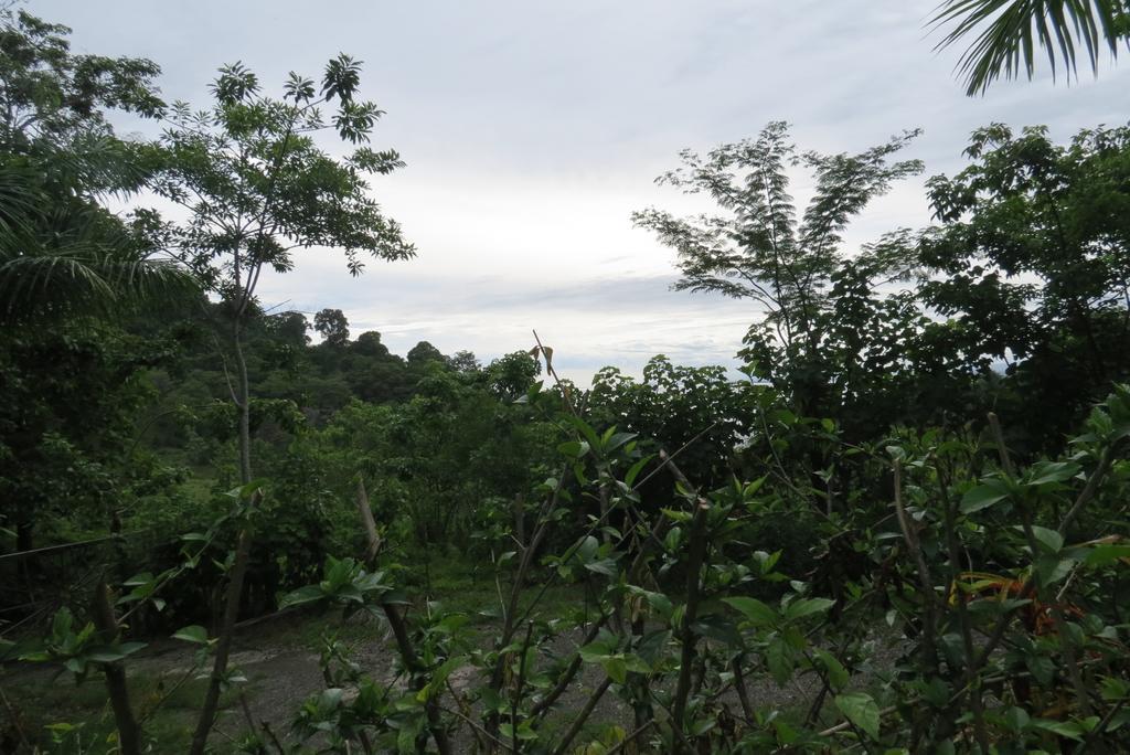 Apartamento Karibu Manuel Antonio Bilik gambar